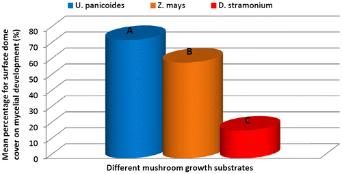 Figure 1b. Effect of different mushroom growth substrates on mycelial development over a period of 28 days (%).