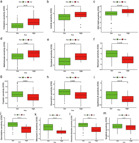 Figure 6 (a–m) IC50 values of common chemotherapy drugs, small molecule drugs, or targeted drugs for HCC in different risk groups.