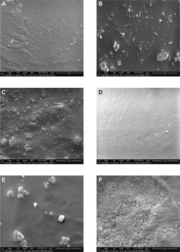 Figure 9 Scanning electron micrographs of the different types of bone cement used in cell function tests (30,000×, scale bar 3 μm). (A) PMMA, (B) PMMA with MgO, (C) PMMA with HAp, (D) PMMA with CS, (E) PMMA with BaSO4, and (F) PMMA with SiO2.Abbreviations: CS, chitosan; HAp, hydroxyapatite; MgO, magnesium oxide; PMMA, poly(methyl methacrylate); BaSO4, barium sulfate; SiO2, silica.