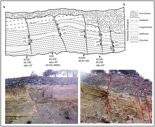 Figure 10. A schematic cross-section and photos along the Sinanlı Fault. On the northern side, fluvial terrace deposits overlie two reverse faults with 2.1 and 2.2 m stratigraphical offsets, while three normal faults on the southern side with 0.8–1.9 m stratigraphical offsets cut these deposits. The section is ~20 m long.