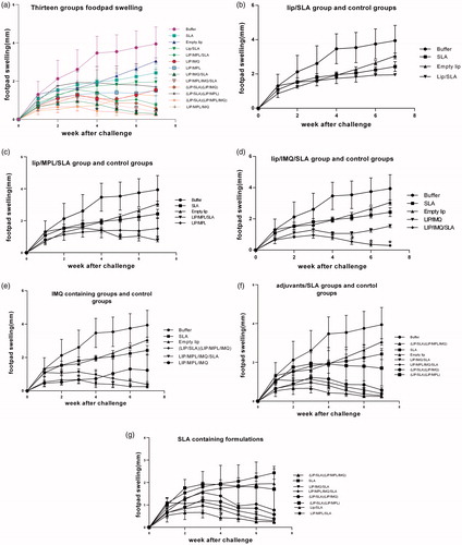 Figure 2. Footpad swelling in BALB/c mice immunized SC, three times in two week intervals with Buffer, SLA, empty Lip, Lip / SLA, Lip/MPL, Lip/IMQ, Lip/MPL/SLA, Lip/IMQ/SLA, Lip/MPL/IMQ/SLA, Lip/SLA + Lip/IMQ, Lip/SLA + Lip/MPL, Lip/SLA + Lip/MPL/IMQ, and Lip/MPL/IMQ after challenge with 106 L. major promastigotes in left hind footpads. The footpad thickness was measured weekly for 7 weeks. Each point represents the average increase in footpad thickness ± SEM (n = 6). *p < .05 when the immunized mice compared with mice received buffer. To estimate better the footpad swelling is shown in seven graph; (a) all thirteen groups are compared together (b) Lip/SLA group compared with control groups (c) Lip/MPL/SLA group compared with control groups (d) Lip/IMQ/SLA group compared with control groups (e) liposome containing IMQ groups compared with control groups (f) adjuvants/SLA groups compared with control groups and (g) SLA containing groups comparing together.