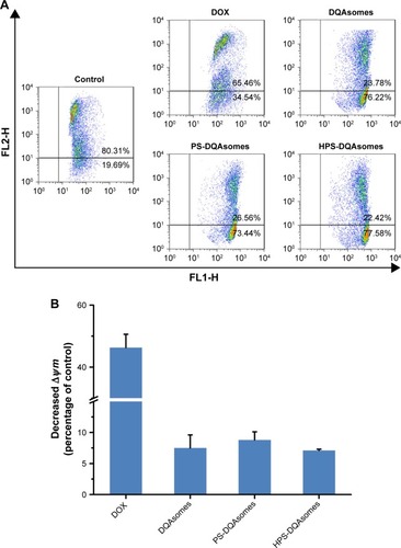 Figure 6 (A) Mitochondrial membrane potential detection of different formulations against MCF-7/ADR cell line using JC-1 fluorescence dye. (B) Decreased mitochondrial membrane potential (∆Ψm) of different formulations compared with control group. Data were presented as mean ± SD (n=3).Abbreviations: DOX, doxorubicin; DQA, dequalinium; HPS, HER-2 peptide-PEG2000-Schiff base.