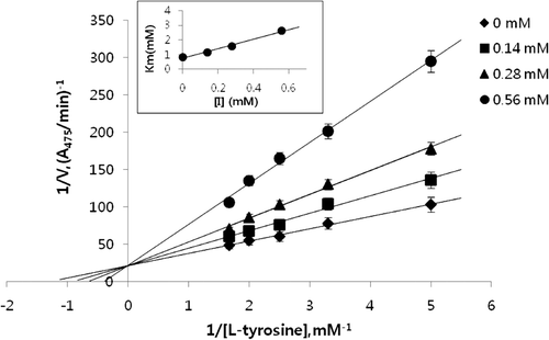 Figure 3.  Lineweaver–Burk’s plot of mushroom tyrosinase and l-tyrosine without (♦) and with 0.14 (▪), 0.28 (▴), 0.56 (•) mM of the compound 5.