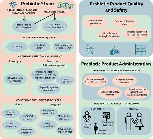 Figure 1. Factors for safety assessment of probiotics. AR, antibiotic resistance; GMP, good manufacturing requirements; MIC, minimum inhibitory concentration; Next-gen, next-generation.