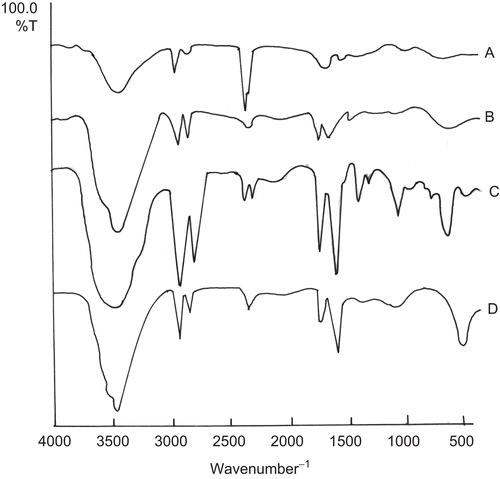 Figure 5.  FTIR spectra of control skin (a), skin treated with drug solution (b), elastic liposomes [EL-SP3] (c), and conventional liposomal formulation (d).