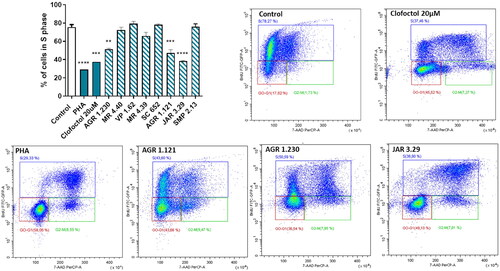 Figure 9. Compounds effect on cell cycle distribution shown by BrdU incorporation assay in SH-SY5Y cell line. Cells were treated with Clofoctol, PHA and studied compounds (10 µM) for 24h. The treated cells were pulsed with 20 μM BrdU in culture medium 4h after compounds treatment and conducted by FITC-BrdU Flow Kit. Graph represents the percentages of cells in S phase. FACS analysis was performed to demonstrate cell cycle distribution: G0/G1 phase (red region) S phase (blue region) and G2/M phase (green region). Plots of positive compounds are shown (BrdU: Y-axis and 7-AAD: X-axis). Bars are the mean ± SD of three independent experiments. Statistical analysis was performed using One-way ANOVA followed by Bonferroni’s post-test (**p < 0.01; ***p < 0.001; ****p < 0.0001).