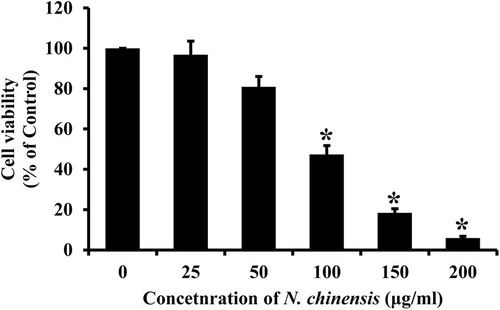 Figure 2. The effect of N. chinensis on cytotoxicity in HL-60 cells. The cells were treated with various concentrations of N. chinensis for 72 h and the cells were tested for viability by MTT assay. Values are means ± SD, N = 3. The statistically significant differences compared with two groups were calculated by Student's t-test. *p < 0.05 versus the untreated control group.