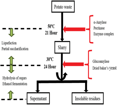 Figure 7. Procedure outline for production of bioethanol.