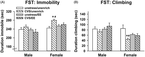 Figure 4. Adolescent enrichment blocks adulthood emergence of passive coping behavior (immobility) caused by adolescent chronic stress in females. (A) Females stressed in adolescence without access to environmental enrichment (EE) had increased immobility and B.) decreased climbing in the forced swim test (FST; *p < 0.05 vs. unenriched/unstressed females, Sidak, #p < 0.05 vs. unenriched/CVS males, Sidak) (n = 10/group; three-way ANOVAs), Data are mean ± SEM. (CVS: chronic variable stress).