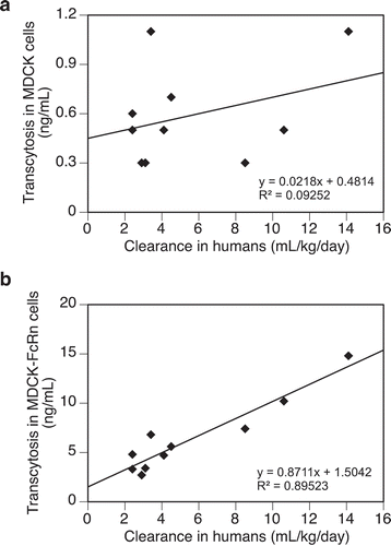 Figure 4. (a) A lack of correlation between transcytosis outputs of test antibodies in the untransfected MDCK cells and their clearance in humans. (b) Correlation between transcytosis outputs of test antibodies (same as those in Figure 4(a)) in MDCK-hFcRn cells and their clearance in humans. Data were fitted with a linear regressing model and both the equation and the R-squared value are presented. Total number of antibodies tested = 10.