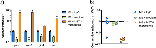 Figure 8. The NtrBC two-component system promotes EHEC growth in the presence of microbiota metabolites. (a) RT-qPCR analysis of expression of NtrBC-regulated genes during EHEC growth in MET-1 microbiota culture supernatant and minimal and rich medium controls. Data represent mean and standard deviation of three biological replicate cultures per condition. (b) Competitive growth of EDL933 and ΔglnLG::kanR in MET-1 microbiota culture supernatant and minimal and rich medium controls. Competitive index is calculated as the proportion of mutant cells at the end of growth divided by the proportion of mutant cells at the beginning of growth.