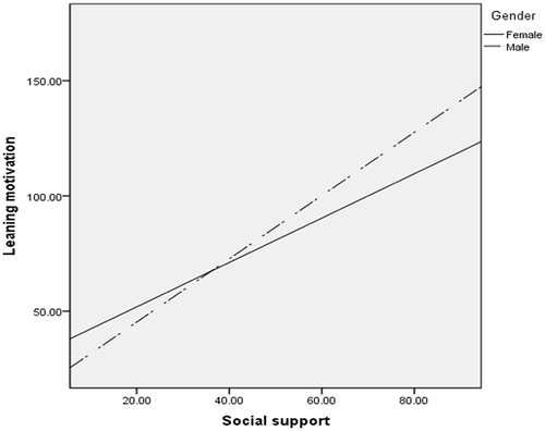 Figure 2 The moderating effect of gender on the relationship between social support and learning motivation.