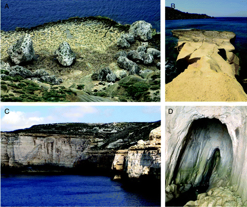 Figure 6. Shore platforms cut in Globigerina Limestone Fm. at Ras il Qammieh (A) and at Gnejna Bay (B); marine caves cut in Lower Coralline Limestone Fm. (C) and in Globigerina Limestone Fm. (D).