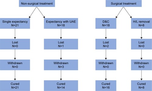 Figure 1 The diagram of the clinical outcomes of the included patients.
