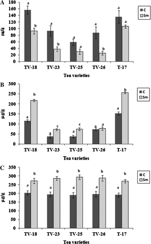 Figure 3.  Phosphate content of rhizosphere soil (A), roots (B) and leaves (C) of tea varieties grown in uninoculated or S. marcescens inoculated soil in the field. Different letters above bars indicate significant difference in phosphate contents as determined in t-test at p=0.01 between control and treated in each variety.
