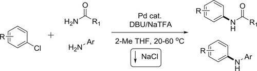 Scheme 9. Synthesis of amidation and amination of (Hetero) aryl chlorides.