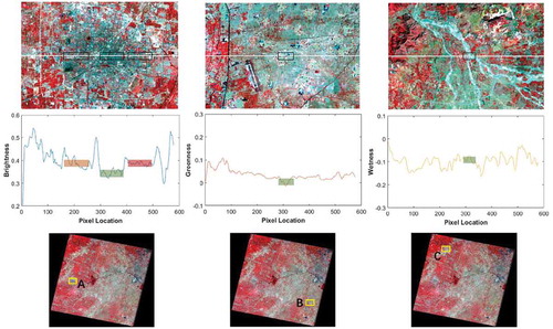 Figure 4. Challenges in mapping human settlements with Landsat TM images (e.g. scene p123r033). First row: local views composited with bands 4, 3 and 2. Second row: continuous curves of brightness, greenness and wetness (derived from Tasseled Cap transform) along the transect (white line in the 1st row).