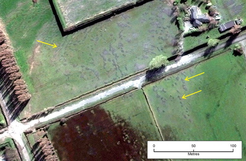 Figure 6. Sand boils and surface flooding across Carters Road, southwest of Taitapu, September 2010 (image WorldView 12/09/2010; centre of view approximately 1560000, 5164000). Note the en-echelon pattern of short fissure segments that merge to form longer contiguous features (e.g. arrows).