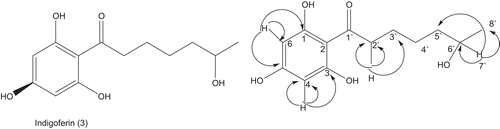 Figure 3.  Key HMBC interactions in compound 3.