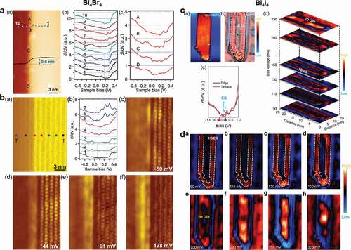 Figure 5. Topological edge states of Bi4Br4 and Bi4I4 observed by scanning tunneling microscopy. a, Topological edge state residing at the single-layer step edge of the (001) facet of an as-grown α-Bi4Br4 nanowire. (a) STM image of a single-layer step edge on the (001) side surface. Note that this image has been flattened. Vb = −0.5 V, It = 20 pA, T = 5 K. (b) dI/dV spectra collected at the locations (marked by the white and red dots) along the straight line perpendicular to the step edge in (a). (c) dI/dV spectra collected at the locations (marked by the red dots) along the step edge in (a). The topological edge state resides at the hinge between the (102) top surface and the (001) side surface of an as-grown α-Bi4Br4 nanowire. b, (a) Derivative STM image of the hinge between the (102) top surface and the (001) side surface. The derivative image is adopted for a clear illustration of both the (102) top surface and the (001) side surface. Vb = −1 V, It = 50 pA, T = 5 K. (b) dI/dV spectra collected at the locations (marked by the colored dots) along the straight line perpendicular to the hinge in (a). (c-f) dI/dV maps of the same region of (a) taken at various sample biases. c, 1D edge states. (a) Topography of Bi4I4 nanoribbon (Vbias = 0.15 V, I = 300 pA, 15 nm × 25 nm). The blue dashed circles and green dashed circles represent the surface adsorbate and lattice distortion, respectively. (b) dI/dV spectra obtained in the inner terrace (black) and edge (blue) regions of Bi4I4 nanoribbon in (a). The red and purple triangles are presented for the valence band maximum (VBM) and conduction band minimum (CBM), respectively. (c) dI/dV image collected with the bias at 150 mV of Bi4I4 nanoribbon in (a). The white dashed lines are marked for the guidance of dispersion of the 1D edge state. (d) Stacked dI/dV images of the area shown in (a) recorded at voltages across the bandgap as marked on the left. d, dI/dV images (15 nm × 25 nm) were recorded at different voltages. (a-d) inside and (e-h) outside bandgap. The white dashed lines are marked for the guidance of dispersion of the 1D edge state. The identical dispersion of the 1D edge state regardless of the different voltages indicates the robustness of the 1D edge state. Figure reproduced from (a,b) ref [Citation76] Copyright 2021, American Chemical Society; (c,d) ref [Citation78] copyright 2021, American Chemical Society.