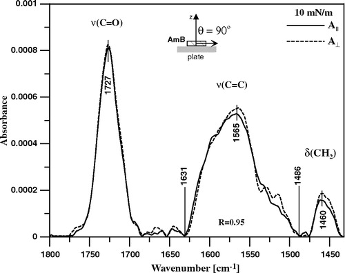 Figure 6.  Polarized ATR-FTIR absorption spectra recorded from Langmuir-Blodgett monomolecular films of AmB deposited at two sides of a Ge crystal. The films were deposited from the monomolecular layer of AmB at the air-water interface at the surface pressure 10 mN/m. The spectrum recorded with parallel polarisation of the electric vector of radiation with respect to the plane of incidence is plotted with the solid line and perpendicular polarisation with the dotted line. The inset drawing presents orientation of the AmB molecule deposited at the plate of crystal, that corresponds to the tilt angle of the molecular axis with respect to the axis normal to the plane of the crystal (z axis) θ = 90°. The assignment of the main spectral bands and the integration limits of the spectral band corresponding to the C = C stretching vibrations are shown.