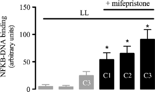 Figure 5.  Effect of the glucocorticoid receptor antagonist mifepristone on constant light (LL)-induced inhibition of NFKB activity in the Syrian hamster pineal gland. Animals kept in LL for 34 h were treated with vehicle (gray bars) or mifepristone (gray hatched bar, 50 mg/kg, ip, at ZT14 and ZT6 on the next subjective day) and killed at ZT10. Bars show the densitometric analysis for the binding of the three complexes (C1, C2, and C3) of NFKB nuclear extracts to a nucleotide probe specific for NFKB. Data are expressed as mean ± SEM of five glands. *P < 0.05, LL compared to LL+ mifepristone for each complex.