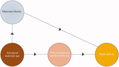 Figure 3. Causal diagram of factors confounding the relationship between maternal obesity and birth defects. Adapted from Hernán et al. [Citation38].