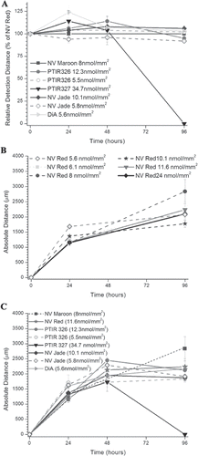 Figure 3: Relative and maximum detection distances for NV Maroon and candidate green dyes in murine spinal cord assay. Relative detection distance (RDD) and maximum detection distance (MDD) were calculated as described in Figure 2 for nylon filters co-loaded with the indicated levels of the listed dyes. Mean ± SE is plotted for each time point, with the exception that only one of three samples was quantified at 96h for PTIR 327 (inverted triangle). Co-loading levels for NV Red and test dyes are shown in Table 4. Panel A: Within-replicate variability was significantly lower for RDD than MDD (Panels B and C) since ratiometric analysis reduces variability due to tissue-related factors such as differences in fixation time and crosslinking. No significant differences in RDD values were observed across the different loading concentrations for all tested dyes, including PTIR327, at 24 and 48h (F(6,15) = 1.83, p = 0.16, n.s.; F(6,17) = 0.76, p = 0.6, n.s.; respectively by single factor ANOVA). When PTIR327 was excluded, a marginally significant difference was noted for the remaining dyes (F(6,12) = 3.05, p = 0.047). However, it was attributable to an atypically low variance for the NV Jade triplicates at 5.8 nmol/mm2 loading and therefore must be cautiously interpreted. Panel B: MDD values for NV Red increased at approximately 1 mm/day for the first 48h and then stabilized, presumably due to complete filling of the relatively short neuronal profiles in neonatal spinal cords. No dose-response effect was seen for different loading levels, which varied more than 4-fold. Panel C: MDD values for test dyes exhibited comparable kinetics of profile filling to NV Red (again with the exception of PTIR 327) and were minimally affected by differences in loading level. No significant differences in MDD values were observed across the different loading concentrations for all tested dyes at any time point