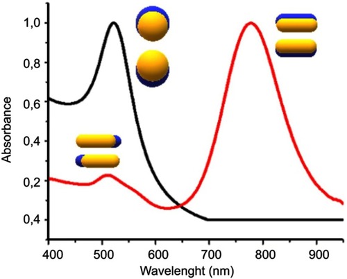 Figure 3 UV-Vis absorption spectrum AUNSs (black line), AUNRs (red line) and the oscillation modes on AuNPs.