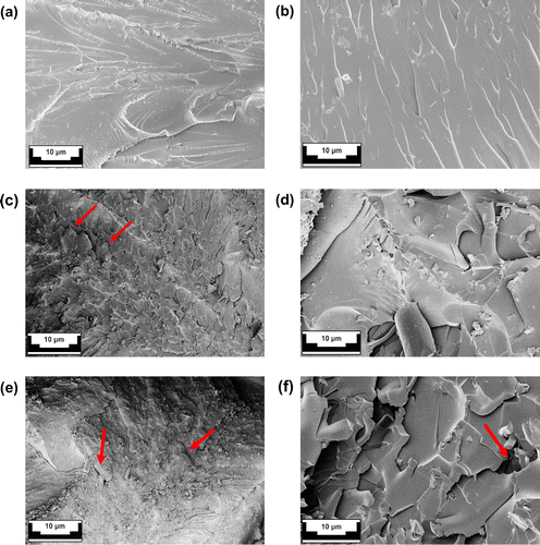 Figure 8 SEM Micrographs of the fracture surface of neat epoxy at magnification (a) 500× and (b) 5000×; 0.25 wt% f-GNP/Epoxy at magnification (c) 500× and (d) 5000×; 0.75 wt% f-GNP/Epoxy at magnification (e) 500× and (f) 5000×