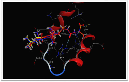 Figure 14 Overlay of compounds 2 (red), 5 (blue) and 9 (yellow) in the binding site, HMGB-1 protein contains two similar DNA-binding domains; A-box and B-box, each with three α helices that fold into an L or V-shaped structure containing a negatively charged acidic tail that interacts with specific residues within and between the HMG boxes. HMGB-1: high-mobility group box-1.