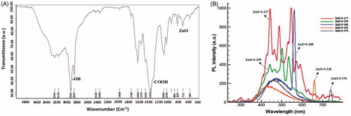 Figure 10. FTIR spectrum (A) and five photoluminescence (PL) (B) at various wavelengths of ZnO QD NPs.