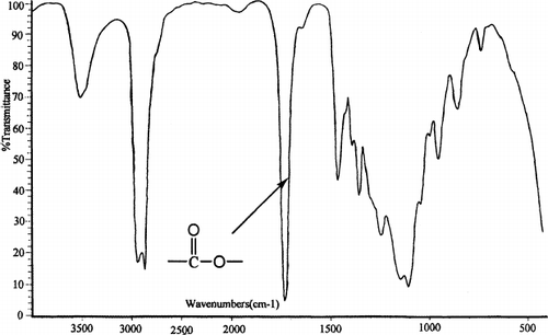 FIG. 1.  FTIR spectra of the PCEC copolymer.