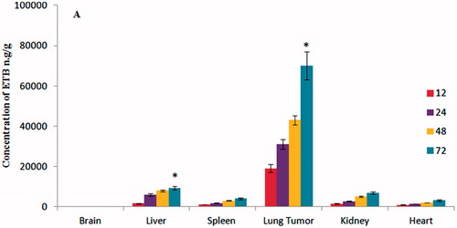 Figure 9. Tissue biodistribution of erlotinib after administration of ETB-loaded GHS-NS at different time intervals (12, 24, 48 and 72 h).