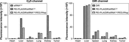 Figure S7 Graphical representation of fluorescence intensity of organs and tumors in A549 tumor-bearing mice 24 h after intravenous injection of complex nanoparticles.Abbreviations: PEI-PLA, polyethyleneimine-block-polylactic acid; PEG-PAsp, poly(ethylene glycol)-block-poly(L-aspartic acid sodium salt).