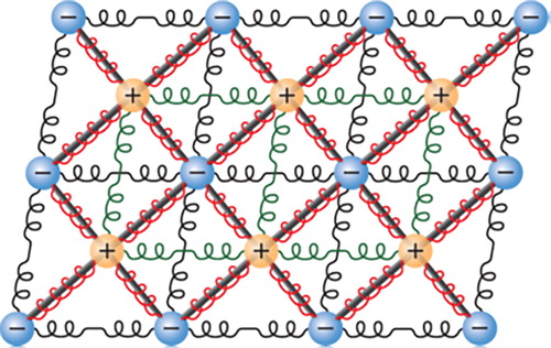 Figure 8. Spring model with two charged sub-lattices. Coulomb interactions and interatomic interactions are combined in the model. The interatomic interactions between the nearest neighbours are harmonic (shown by springs). Nonconvex interactions (gray sticks) along diagonals in the ferroelastic sub-lattice lead to the formation of domain structures. The electrostatic interaction between the two sub-lattices combines with weak 2nd or 6th order springs are used to mimic the repulsive coupling between the sub-lattices. The spring stiffness for 2nd and 6th order potentials is 0.1 and 600, respectively. Reprinted from [Citation113], with the permission of AIP Publishing.