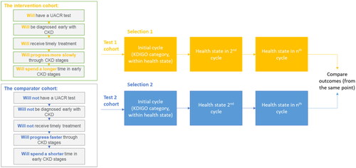 Figure 3. Framework for cohort comparison. Abbreviations. CKD, chronic kidney disease; KDIGO, Kidney Disease, Improving Global Outcomes UACR, urine albumin-to-creatinine ratio.