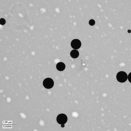 FIG. 2 TEM image of atomized and dried nigrosin dye showing spherical particles.
