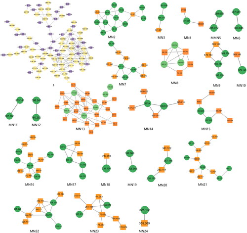 Figure 3. Twenty-four analyzable clusters obtained through molecular networking.