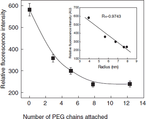 Figure 8. Quenching of Tryptophyl Fluorescence of BSA as a function of PEGylation. The influence of the number of conjugated PEG chains on the fluorescence of BSA is presented. Protein samples (1 mg/ml) were excited at 295 nm and the emission was recorded at 340 nm. Inset: Correlation fluorescence intensity as a function of the molecular radius of PEGylated albumin.