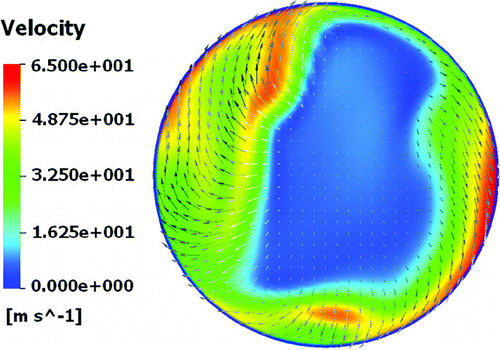 FIG. 5 Magnitude of mean velocities and 2-D velocity plot at the exit of mouthpiece (from RANS simulation).