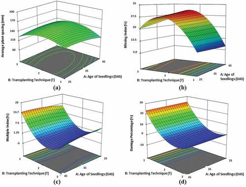 Figure 5. Effect of transplanting techniques and age of seedlings on (a) Average hill spacing, (b) Missing Index, (c) Multiple Index and (d) Damage seedlings.