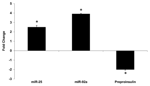 Figure 4. Altered expression of miR-25, miR-92a and preproinsulin in diabetic rat pancreas. Total RNA was isolated from pancreatic tissue of diabetic rat model. Expression of miR-25, miR-92a, and insulin I was measured by qPCR relative to healthy control rats. Data are presented as mean ± SEM with n = 6. Statistically significant differences are tested using t-test at *p < 0.05 significance.