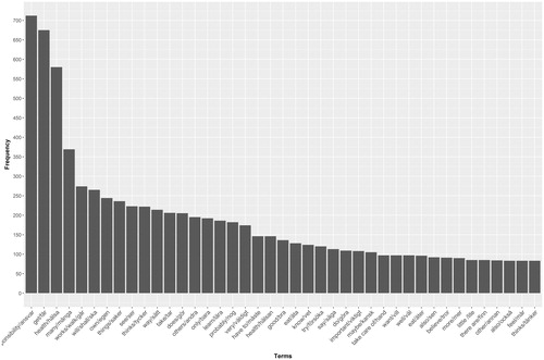 Figure 4. Frequency plot of the terms extracted after the text mining process – concepts of health responsibility.