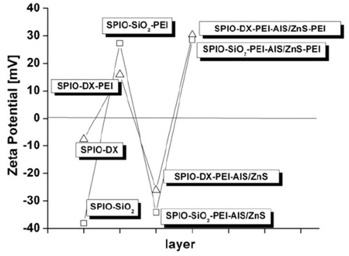 Figure 4 Zeta potential of hybrid NPs at different stages of fabrication.