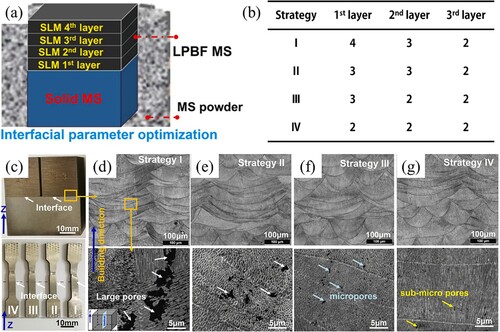 Figure 10. Four melting strategies at the interface of bulk MS/LPBF-printed MS: (a) schematic illustrating the interface enhancement strategy, (b) four interface enhancement strategies, (c) multi-material specimens, (d) strategy I, (e) strategy II, (f) strategy III, and (g) strategy IV (Tan, Wang et al. Citation2021).