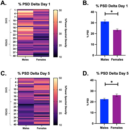 Figure 5. Percent power spectral density (PSD) for the delta frequency during a SWS to REMS transition on Days 1 and 5 in male and female rats, displayed in both heat map and bar graph format. (A) Heat map of % power spectral density for the delta frequency in males and females during a SWS to REMS transition on restraint Day 1. There was a significant main effect of sex on the % PSD of delta. (B) Bar graph quantifying % power spectral density for the delta frequency from Panel A. Females had a significantly lower % PSD of delta than males on Day 1 of restraint. (C) Heat map of % power spectral density for the delta frequency in males and females during a SWS to REMS transition on restraint Day 5. There was a significant main effect of sex on the % PSD of delta. (D) Bar graph quantifying % power spectral density for the delta frequency from Panel C. Females had a significantly higher % PSD of delta than males. This suggests that repeated restraint stress differentially affects the % PSD of delta in males and females; it may take females longer to initiate sleep recovery compared with males. * indicates p < 0.05.