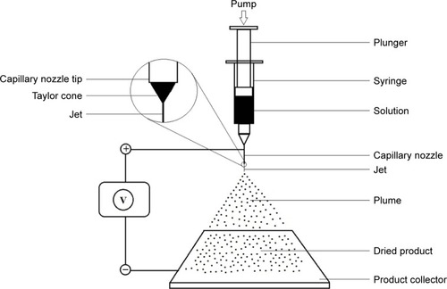 Figure 1 Schematic diagram of the electrospraying instrument.
