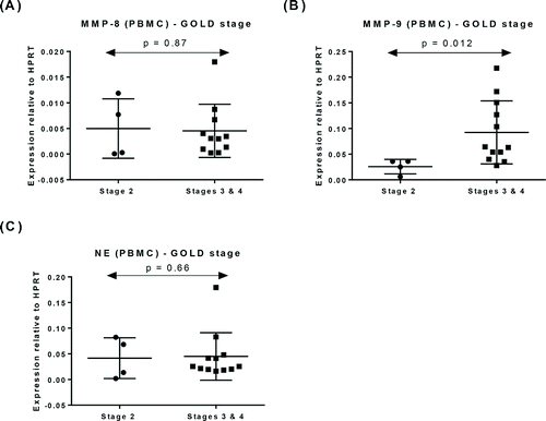 Figure 3. Expression of mRNA for (A) MMP-8, (B) MMP-9, and (C) NE in PBMC from patients with COPD according to the GOLD staging. Data represented as mean ± SD.