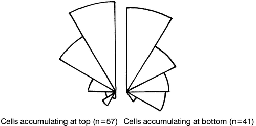 Figure 8.  Orientation of the jumping direction relative to the vertical in cells drifting upwards and of cells drifting downwards (right). The reason why the latter drifted downwards is the low frequency of jumping combined with gravitational sinking.